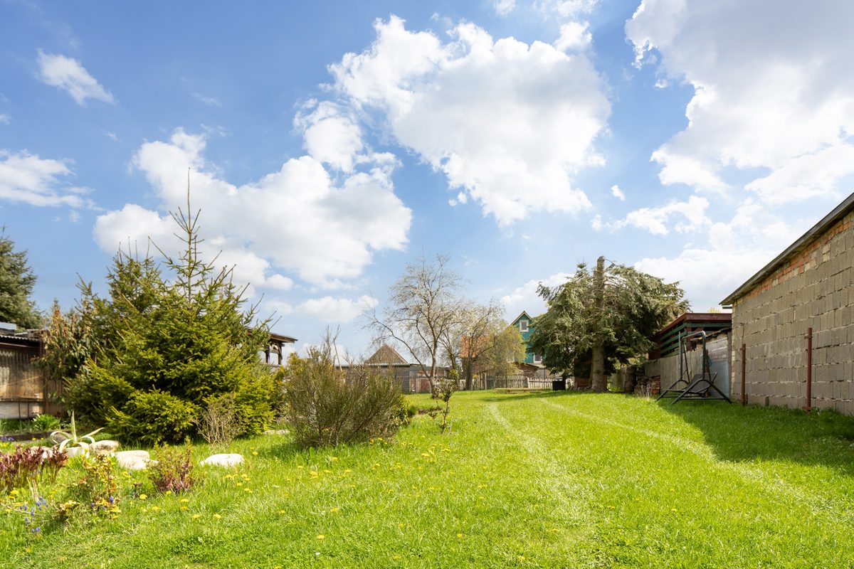 Weite grüne Gartenwiese mit Sträuchern unter blauem Himmel